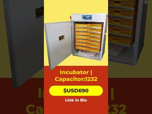 Ultimate Incubator for Large-Scale Egg Hatching