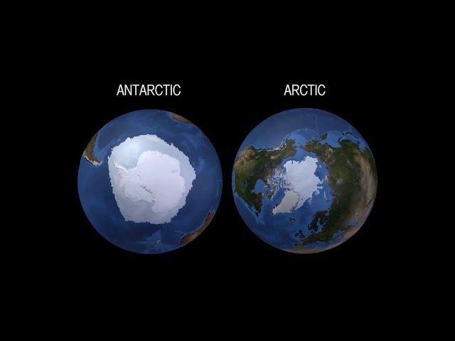 إيه الفرق بين القطب الشمالي والقطب الجنوبي؟
