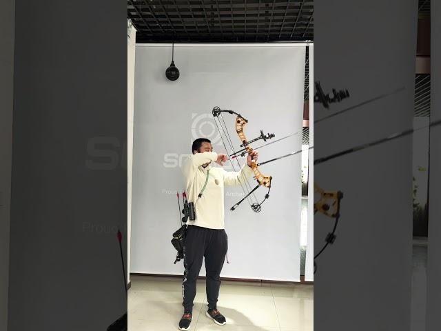 Sanlida pro archer Xue Zheng 50m Hero 10 indoor shooting.#hero10 #sanlida #compoundbow #archery