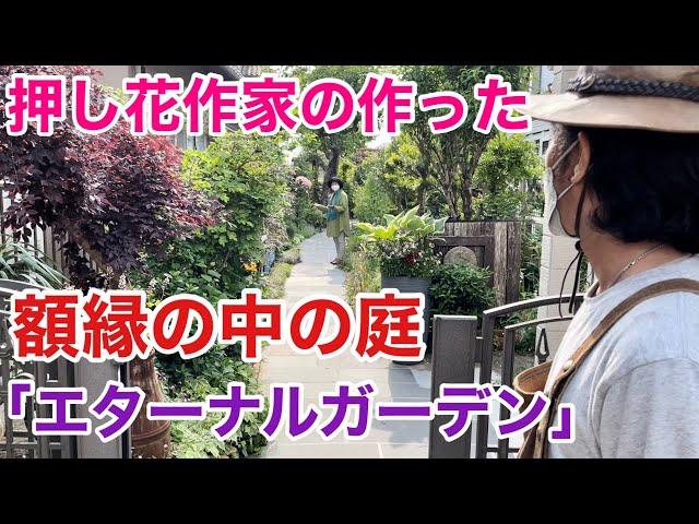 【アイディア満点】試行錯誤で作り続ける押し花作家の庭公開　　　　　　【カーメン君】【園芸】【ガーデニング】【個人庭】【丹羽さん】