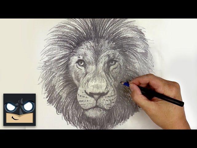 How To Draw a Lion | YouTube Studio Sketch Tutorial