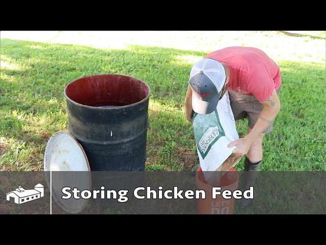 How to Properly Store Chicken Feed - AMA S4:E4