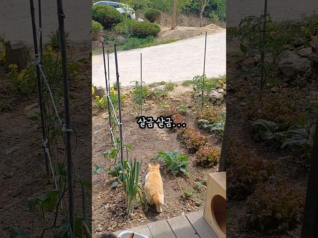 대단한 걸 발견한 모양이다