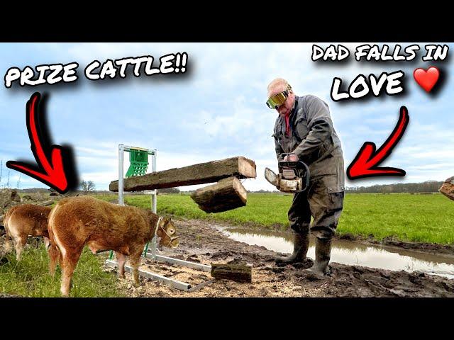 IT HAS EVERYTHING!... DAD FALLS IN LOVE WITH A SHOW GROUND PURCHASE!?