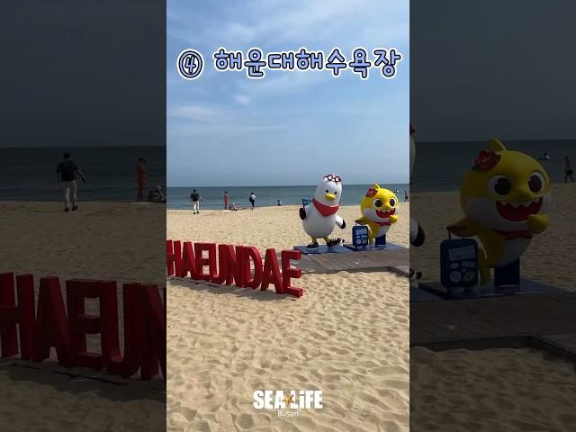 여름 부산 해운대 가볼만한 곳 추천 #부산여행 #부산여행코스 #부산아쿠아리움