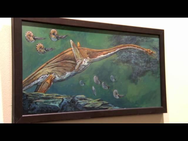 The Age of Reptiles (Video by Isaac Ruth)