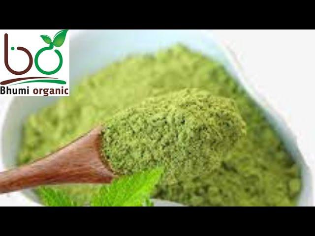 Bhumi Organic Natural Mint Powder #mint #viral #bhumiorganicfarm #food