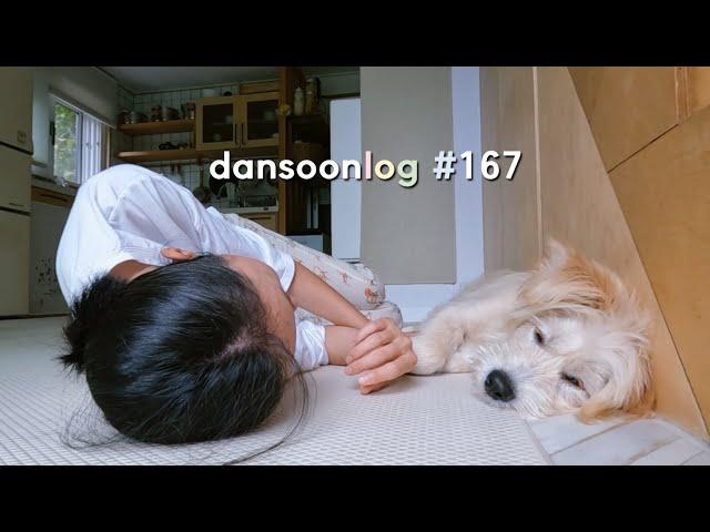 vlog167 rural daily routine with dog and cat