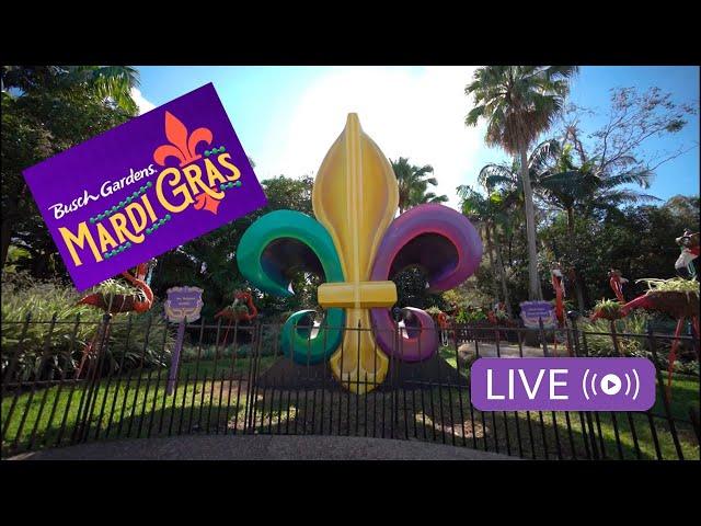 Mardi Gras at Busch Gardens Tampa! #buschgardens #mardigras