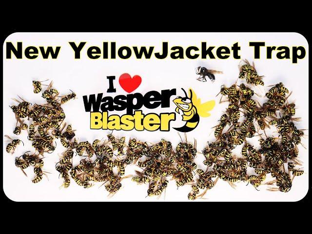 The Amazingly Fast Wasper Blaster Yellow Jacket Trap. How To Quickly Catch Hornets. Mousetrap Monday