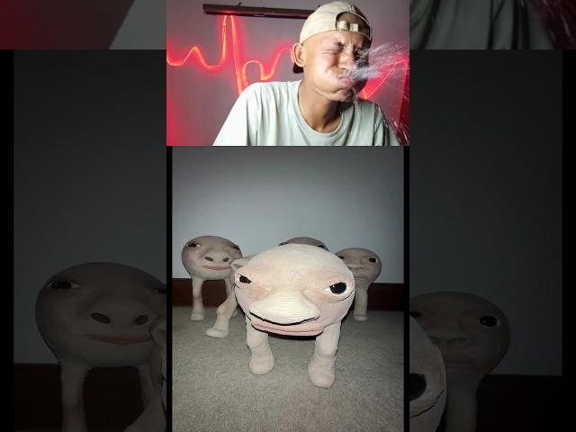 Try Not Laugh 137 