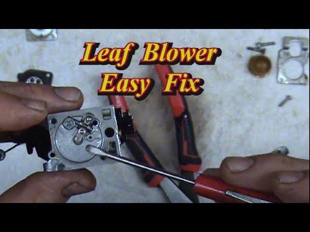 ECHO Blower Wont Start  "Easy Fix"   Carb kit   Fuel Lines   Primer Bulb  Tune-up