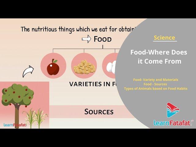 Food  - Where Dose It Come From Grade 6 Science Chapter 1 | LearnFatafat