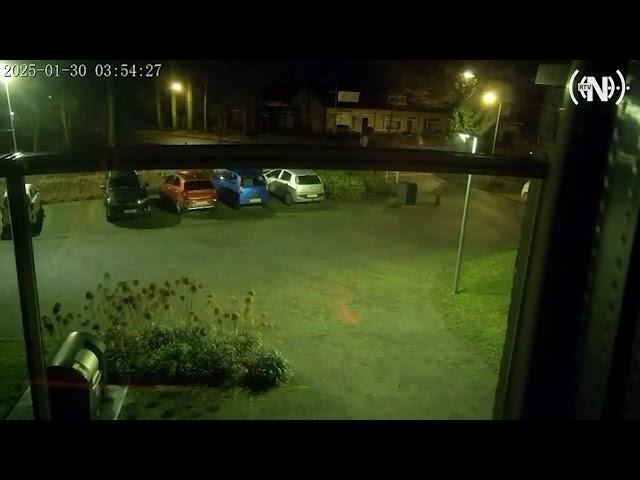 Wolf gespot in woonwijk Nunspeet