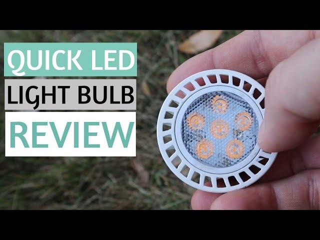 LANDSCAPE LIGHTING LOW VOLTAGE LED LIGHT BULB REVIEW