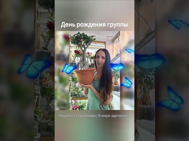 День рождения группы "Людмила Ларионова | В мире адениумов". Подробности в комментариях.