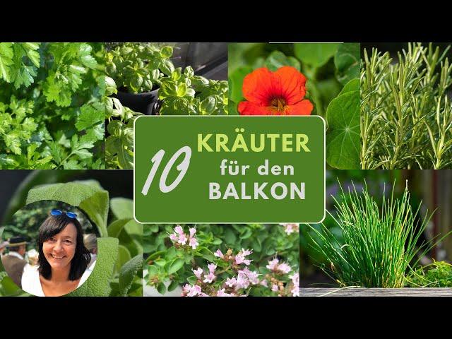 10 Kräuter Klassiker für den Balkon - die beliebtesten Kräuter für Töpfe und Balkonkästen