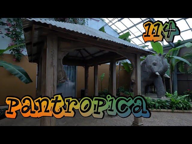 114 - Pantropica