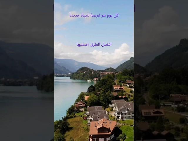 النجاح هو النتيجة الوحيدة للإصرار والعمل الجاد.