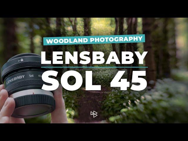 Woodland Photography | Lensbaby Sol 45 | Nikon Z7