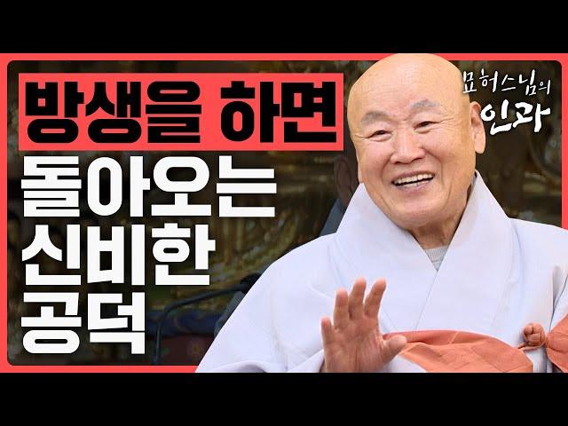 산 생명을 살려주는 방생! 방생을 하면 돌아오는 놀라운 공덕 이야기 [묘허스님의 인과 54화]