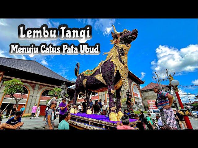 Proses membawa LEMBU TANGI menuju Catus Pata Ubud 5 Juni 2024