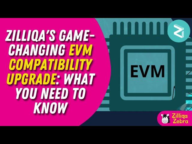 Zilliqa's Game Changing EVM Compatibility Upgrade What You Need to Know   | ZilliqaZebra