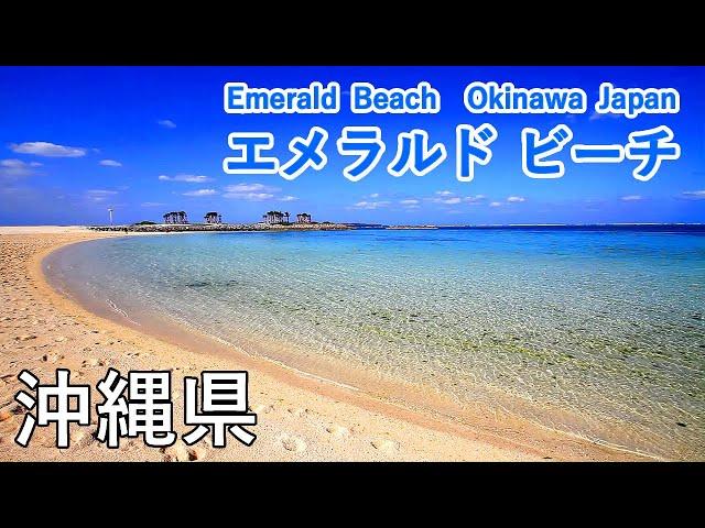 Emerald Beach ( Okinawa, Japan )  / Spectacular Views of Japan