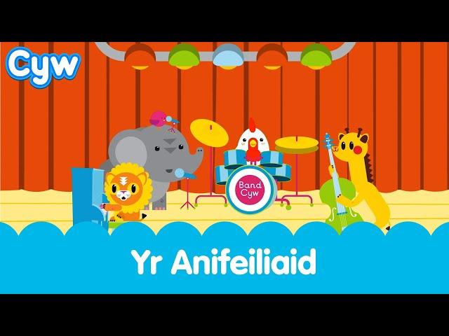 Cân yr Anifeiliaid | The Animals Song - come and meet Cyw's friends! Welsh sing along nursery rhymes