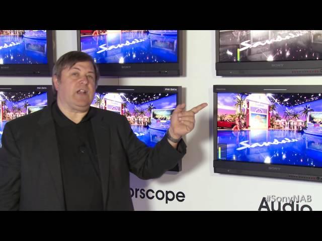Sony's Professional Monitors & Displays