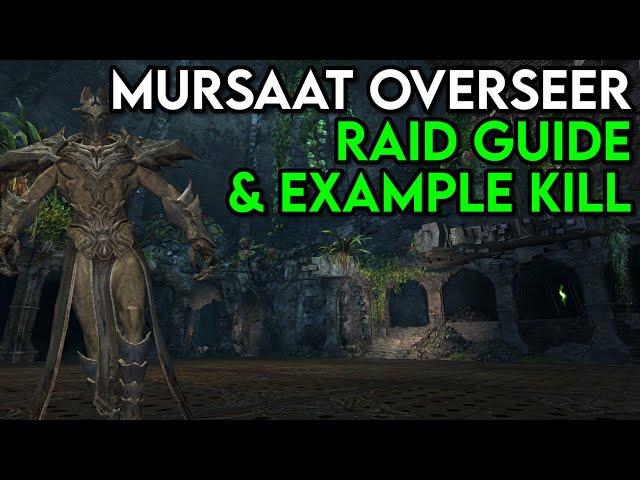 Mursaat Overseer Full Raid Guide & Example Kill