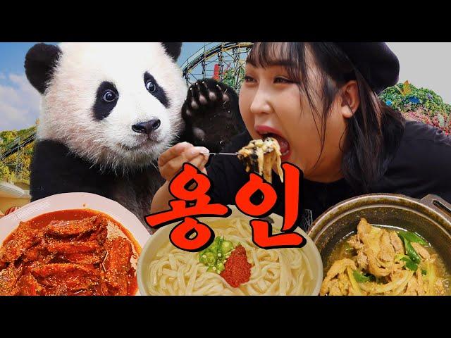 Everland, sorry to only look for Fu Bao... A Restaurant in Yongin That Made Pungja Cry | The Place