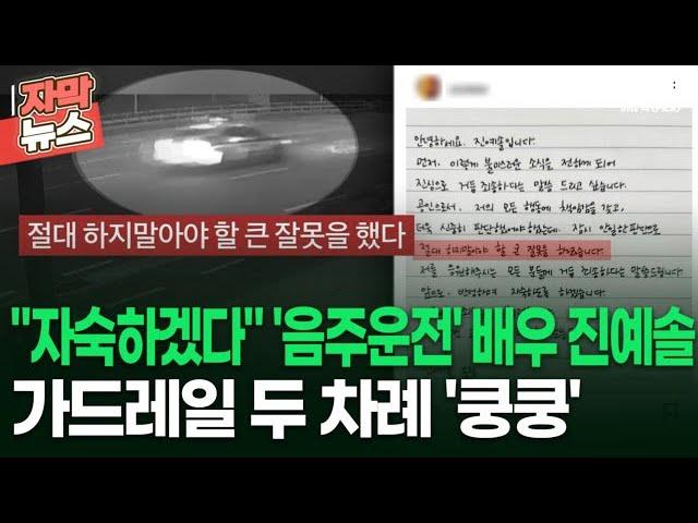 [자막뉴스] ＂자숙하겠다＂ '음주운전' 배우 진예솔, 가드레일 두 차례 '쿵쿵' | 이슈픽