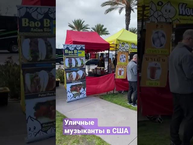 Уличные музыканты в США 