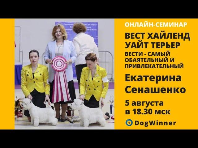 Вест Хайленд Уайт Терьер. ВЕСТИ - самый обаятельный и привлекательный. Вебинар Е.В. Сенашенко