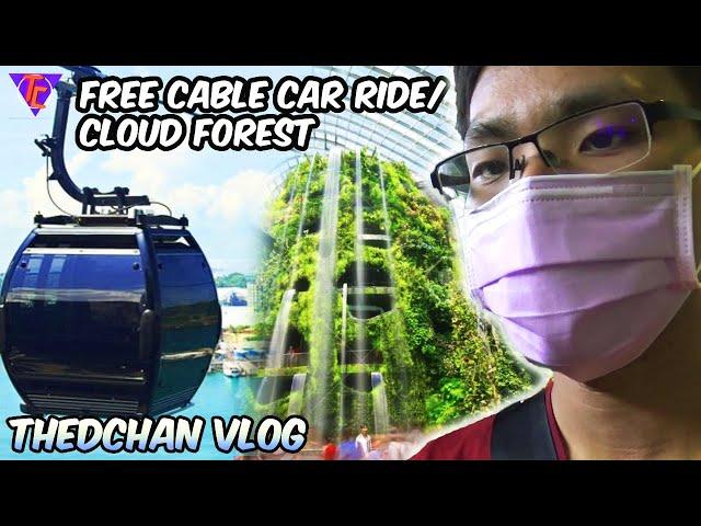 Singapore Free Cable Car Ride in Sentosa & Garden by the Bay: Cloud Forest Vlog 2022