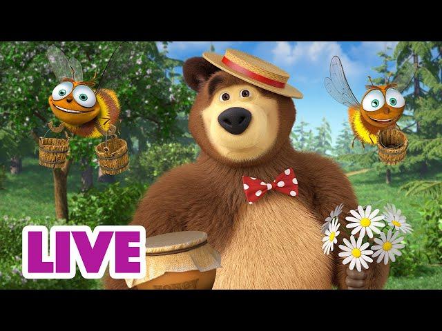  EN DIRECT ‍️ Masha et Miсhka  Pot de miel pour l'Ours  Masha and the Bear