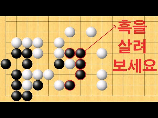 바둑 사활 - 기가막힌 묘수로 흑을 살려보세요