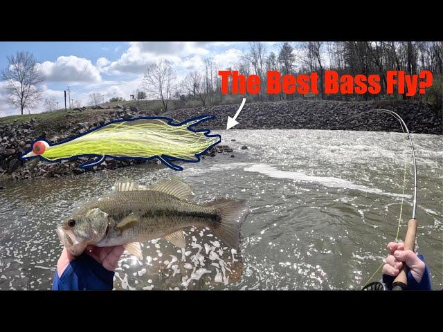 Fly Fishing for Largemouth Bass -- Fly Fishing Eastern Kentucky