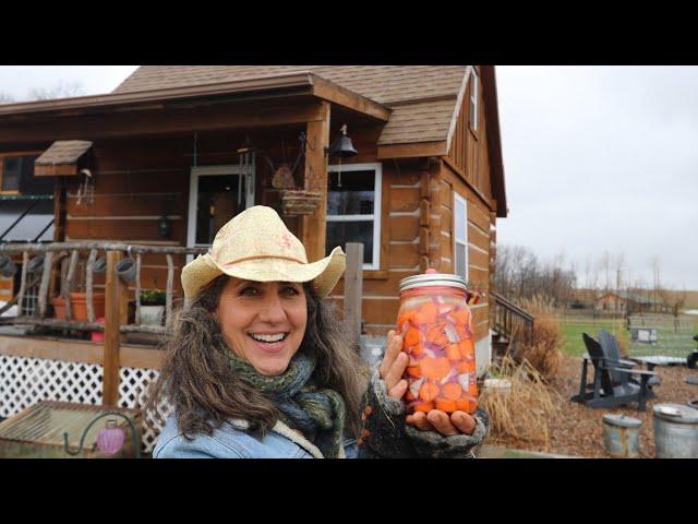 How To Ferment Carrots for Beginners!