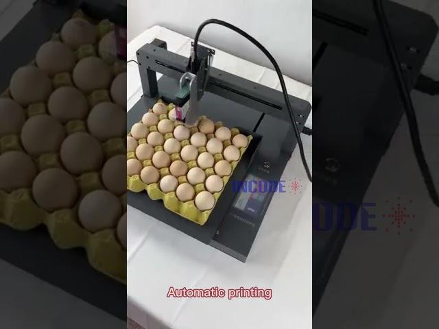 Single Head Eggs Inkjet Printer, not only can print eggs, yogurt, tablet, accessories, etc also.