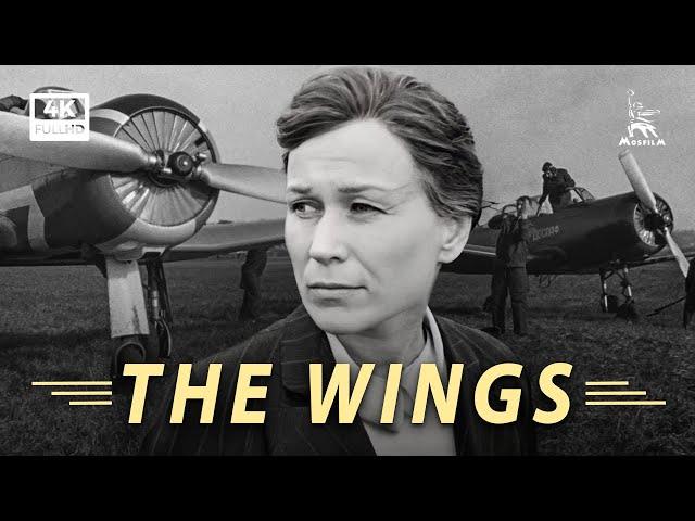 The Wings | DRAMA | FULL MOVIE