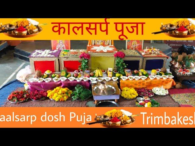 || KALSARP DOSH PUJA AT TRIMBAKESHWAR Nashik Pandit Anurag Guruji contact number, 7517486694, ||