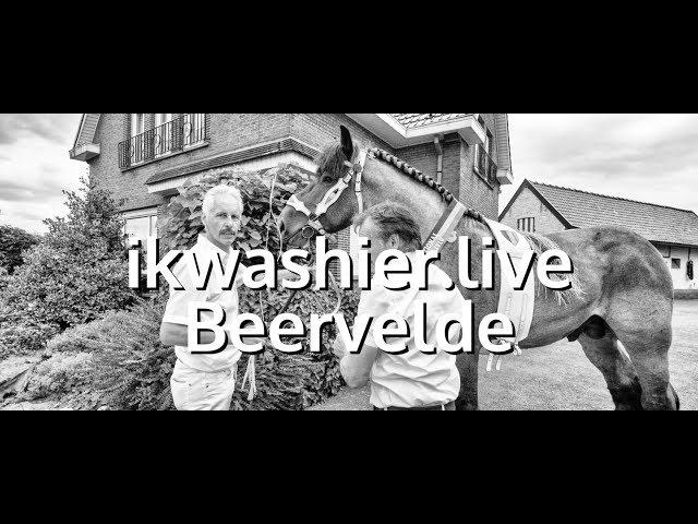 Stallion show - Hengstenshow Belgische Trekpaarden Stal de Boterhoeve - ikwashier.live in Beervelde