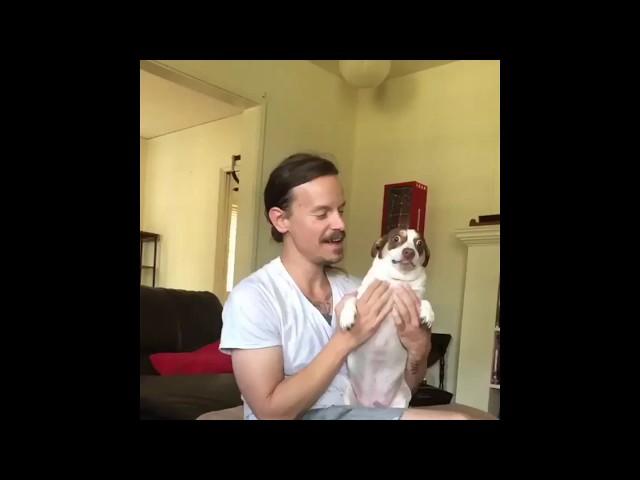 The Church of Mr. Bubz [Compilation]