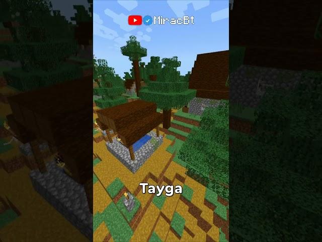 Minecraft'taki EN İYİ Köy Bulma Taktiği Nedir? 