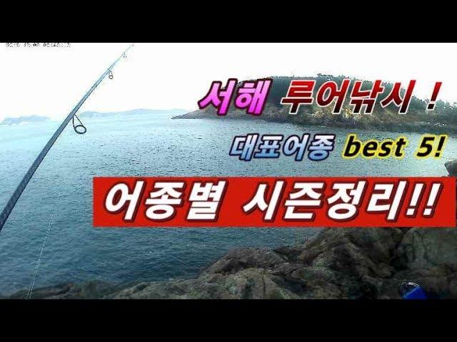 바다루어낚시!서해 대표어종 best 5 시즌정리!