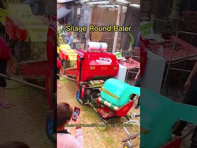 Silage Round Baler: How to Make 55*52 Mini Silage Bales? Taizy Silage Packing Machine for Sale