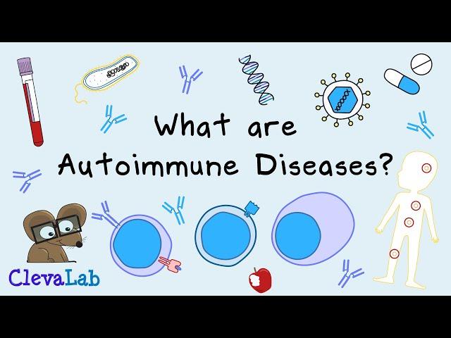 What are Autoimmune Diseases and How Do They Develop?