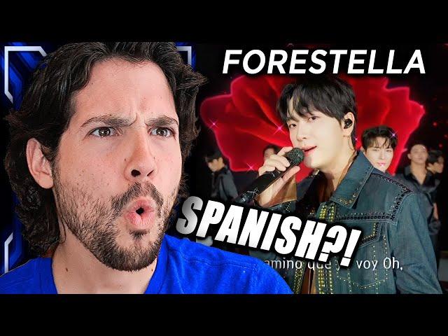 OMG! Forestella - Despacito (Immortal Songs 2)